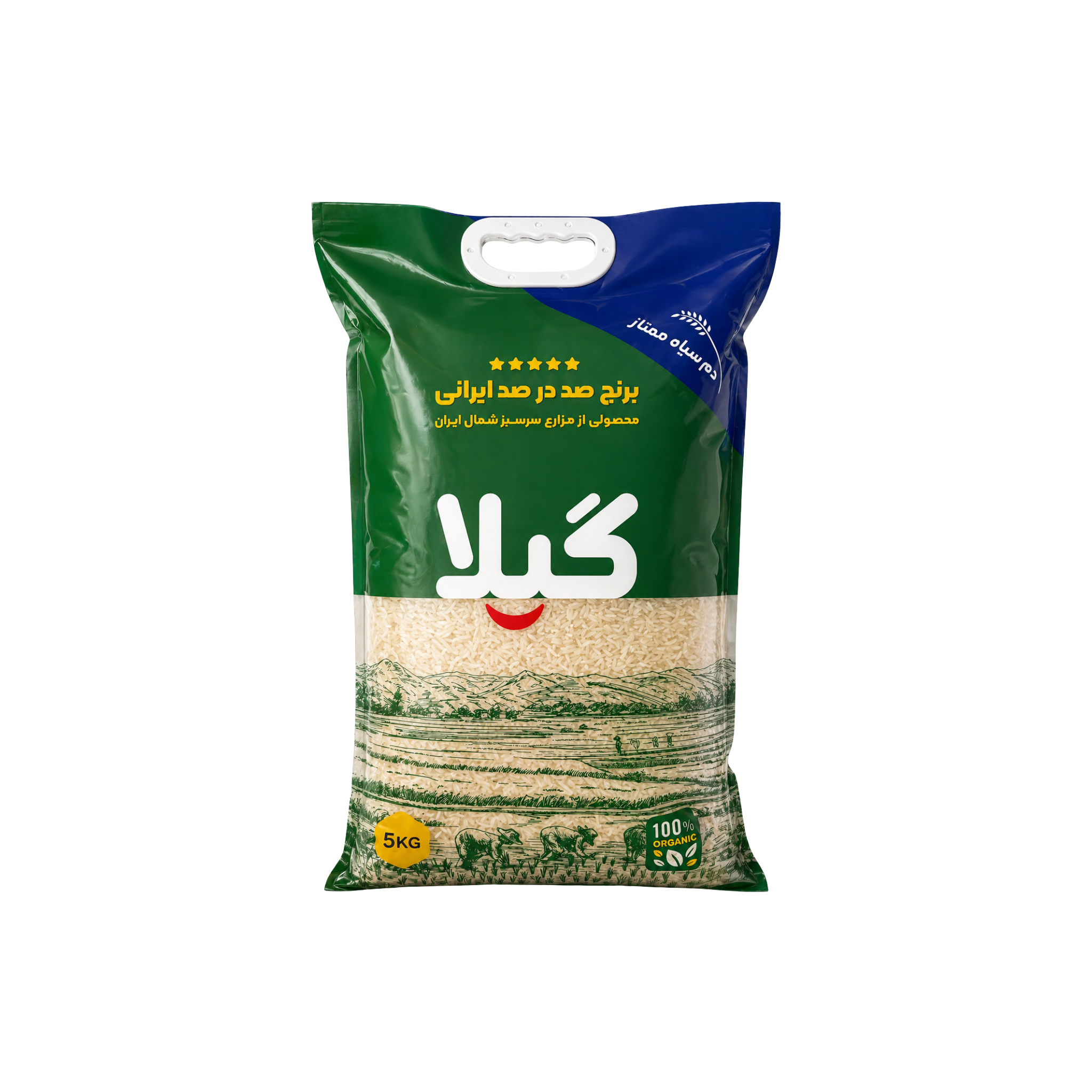 Gila Iransk Ris Domsiah Premium 5 kg – langkornet iransk ris i grøn og blå pose med bærehåndtag