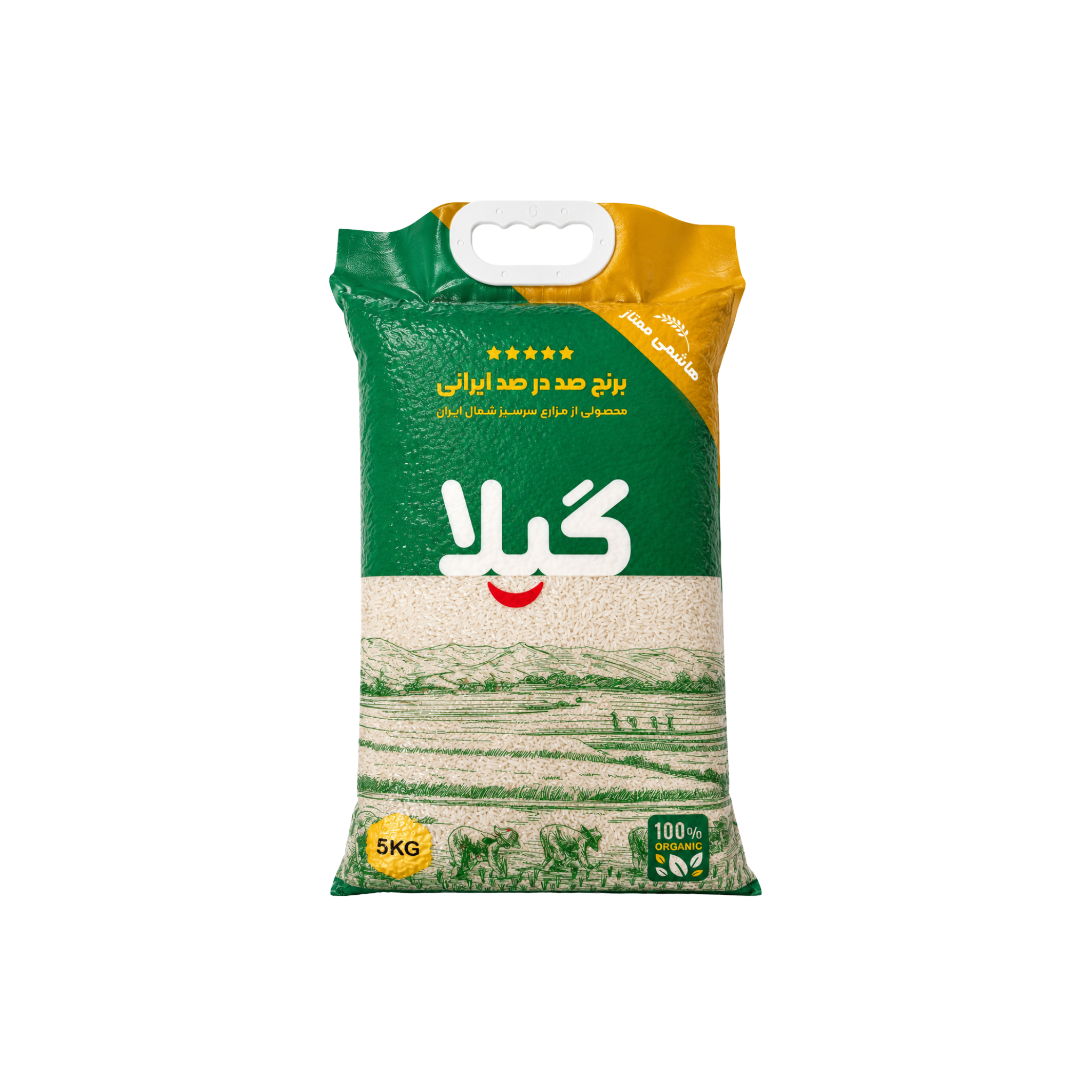 Gila Hashemi Premium Iransk Ris 5 kg – 100% iransk langkornsris i grøn og gylden pose med bærehank