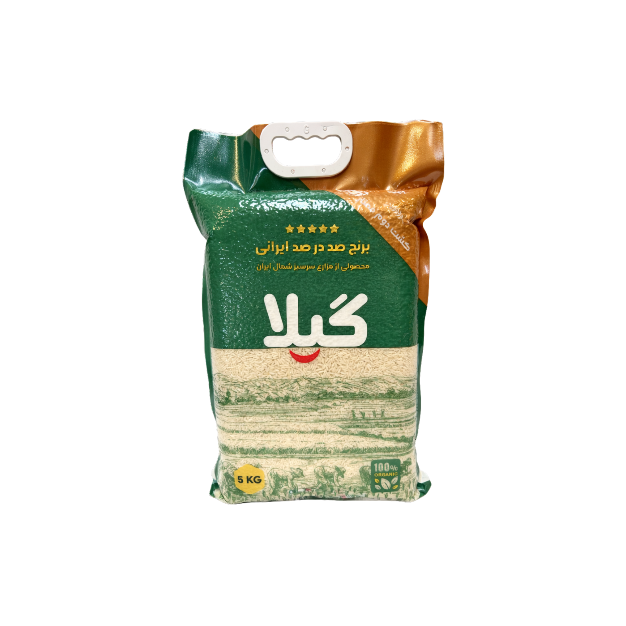 Gila iransk ris Second Cultivation 5 kg – premium iransk ris i grøn og guld pose